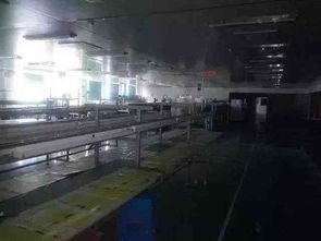 又一家电子厂突然倒闭 厂内值钱设备均被搬走 日大家电零售受冲击