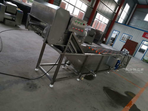 全自动土豆大姜毛刷清洗机 高效清洁的农业助手